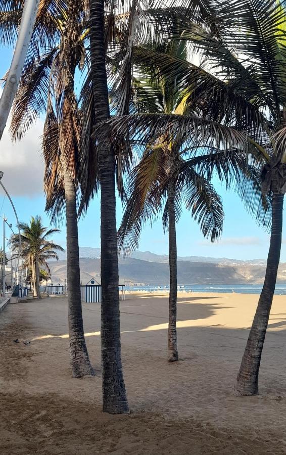 Chez Frois Daire Las Palmas de Gran Canaria Dış mekan fotoğraf