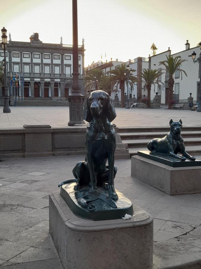 Chez Frois Daire Las Palmas de Gran Canaria Dış mekan fotoğraf